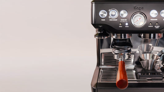 De belangrijkste Sage accessoires: Onze top 8