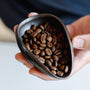 Damp coffee beans and coffee tray after use RDT spray bottle from Barista-Essentials
