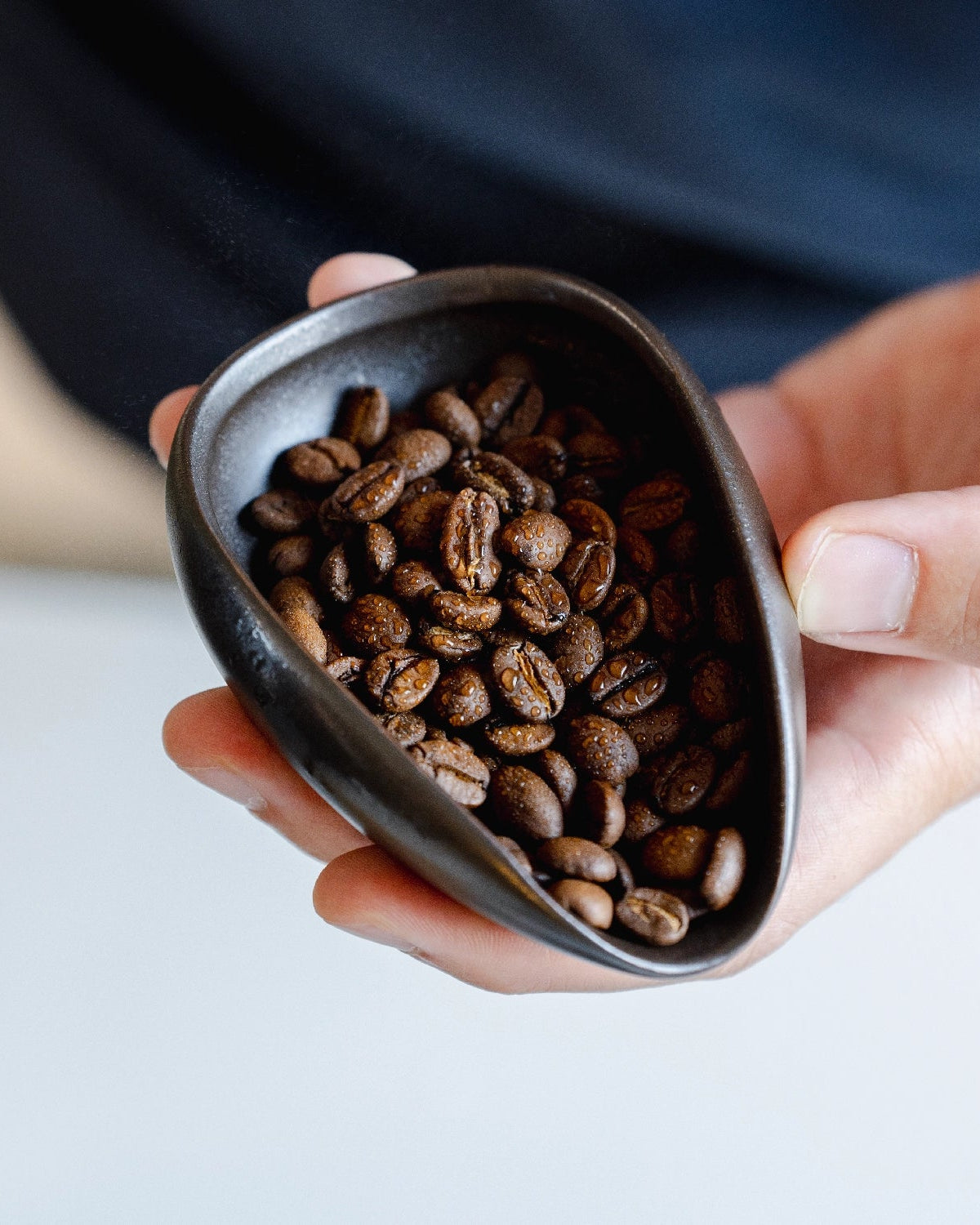 Ultimate Brew Giftset